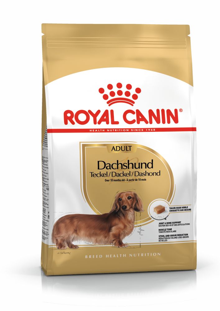 rc-dachshund-adult-15kg