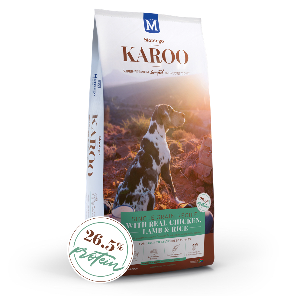 karoo-large-to-giant-breed-puppy-20kg