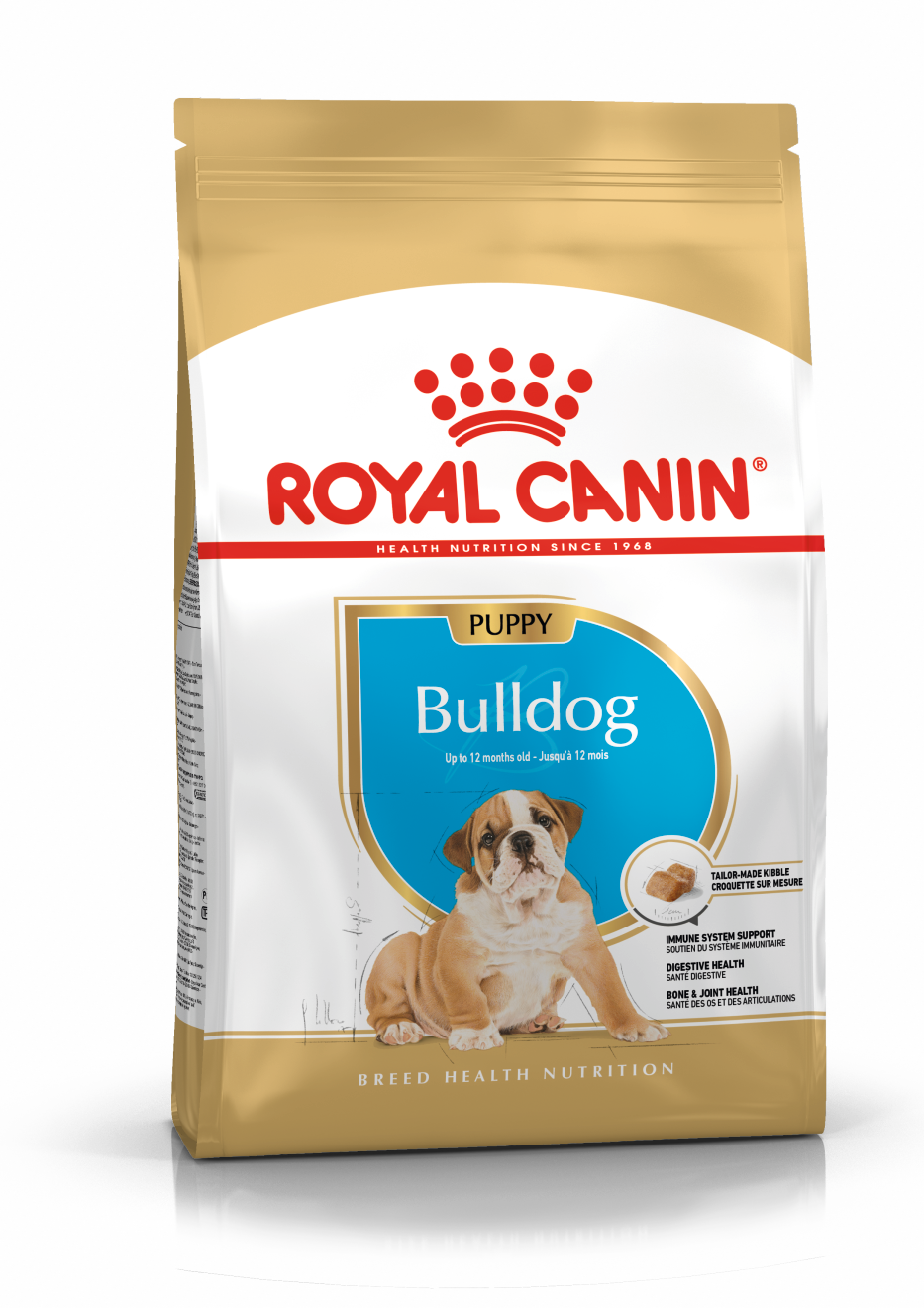 rc-english-bulldog-puppy-12kg