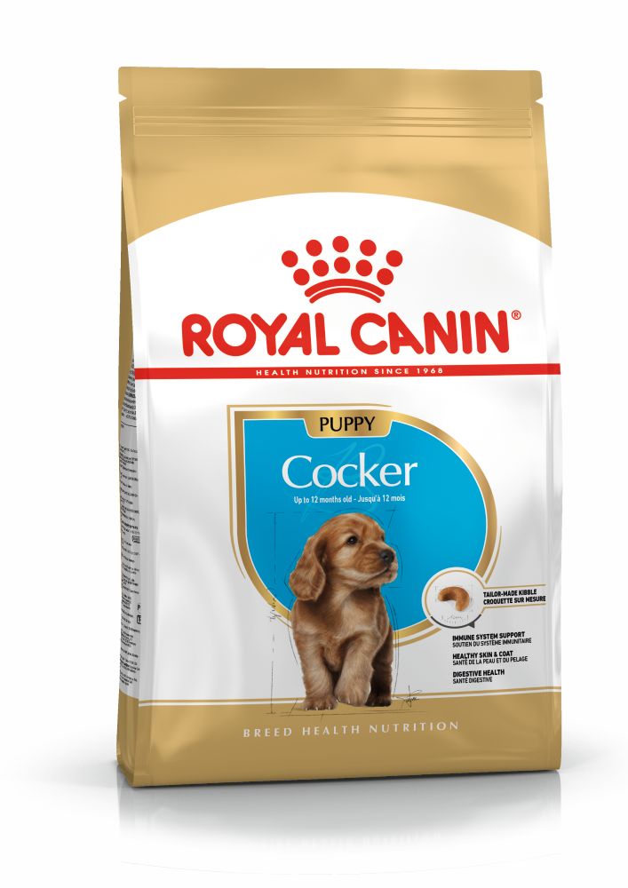 rc-cocker-puppy-3kg