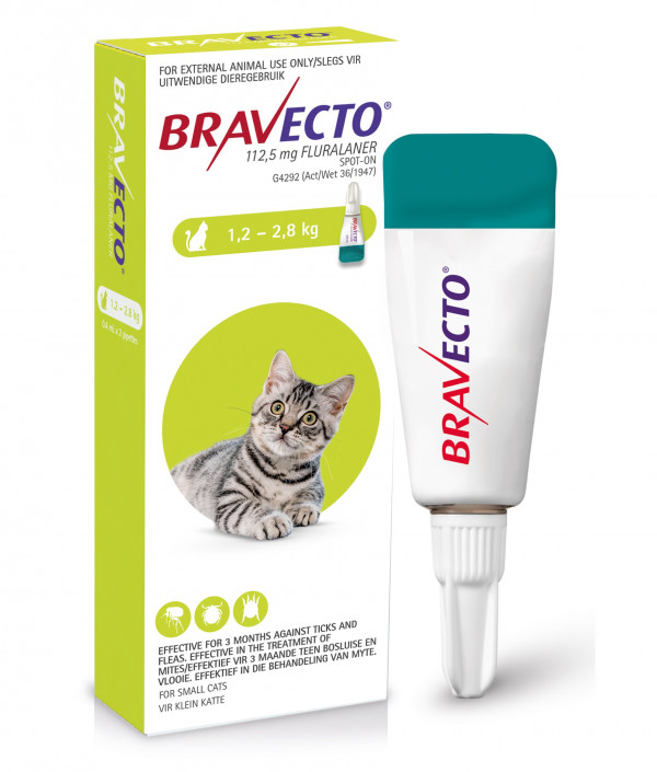bravecto-cat-spot-on-12-to-28kg