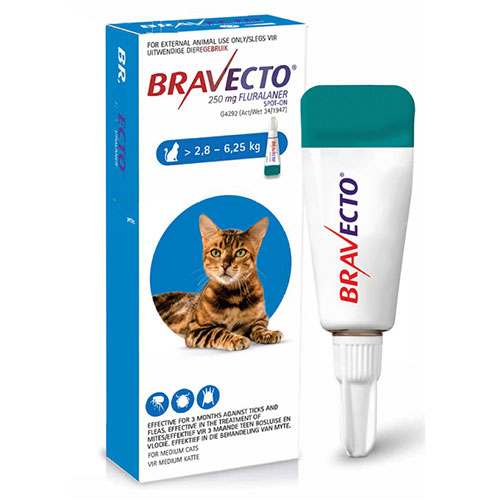bravecto-cat-spot-on-28-to-625kg