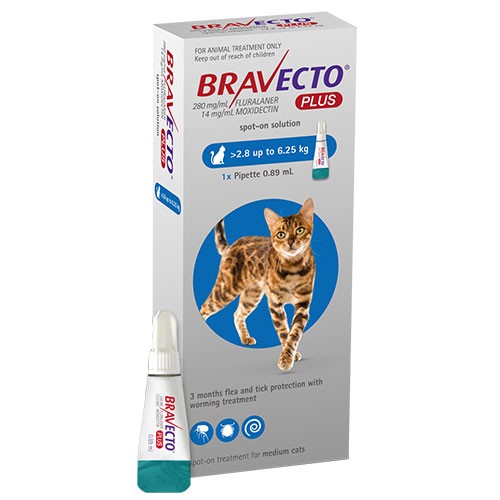bravecto-cat-plus-28-to-625kg