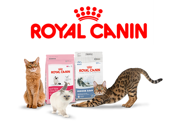 royal-canin-cat-food